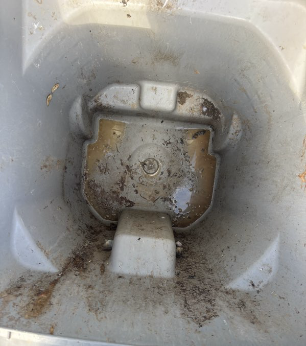 Zoomed-out view inside a trash bin with over 100 maggots along the bottom and sides